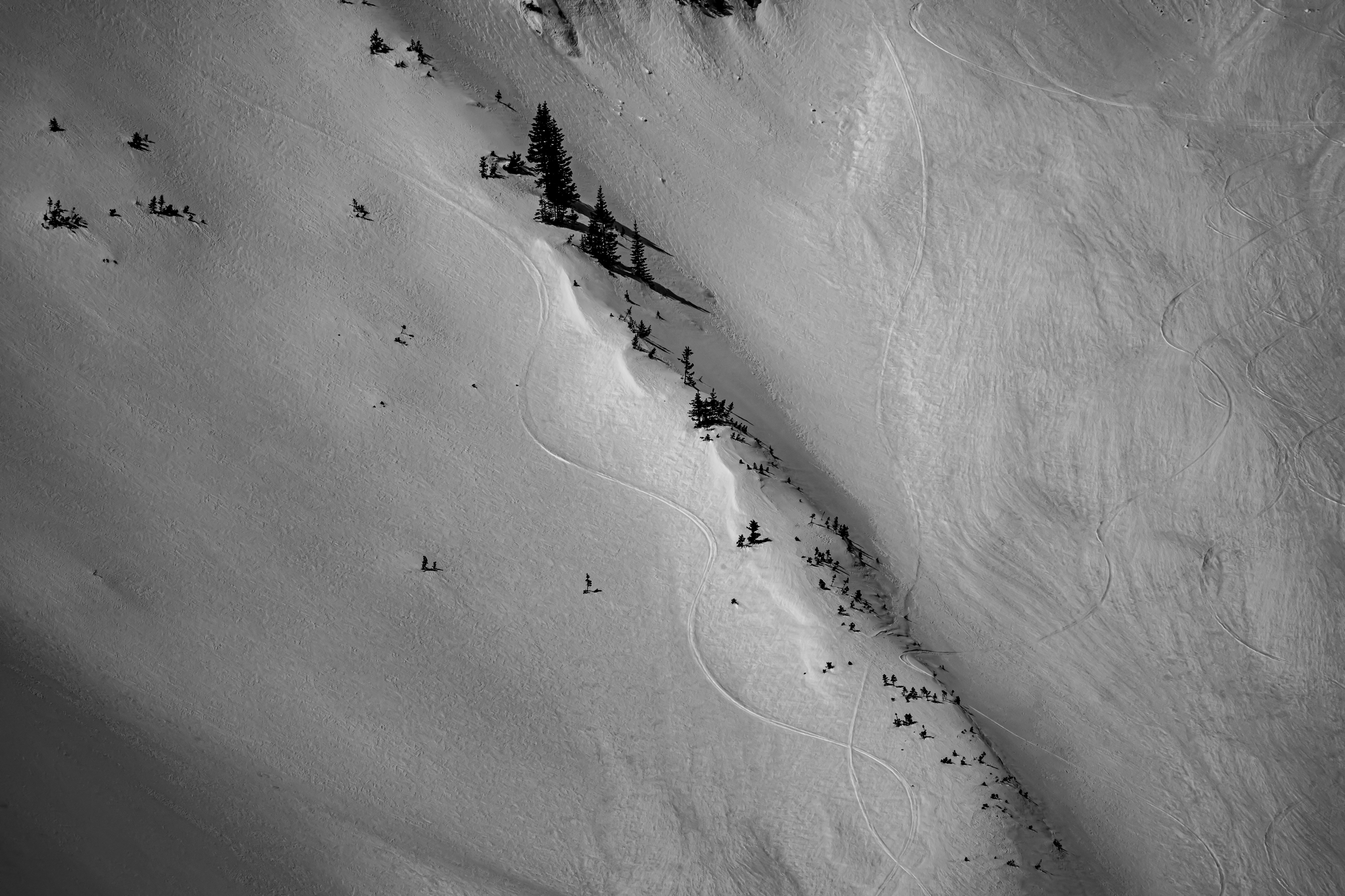 grayscale photo of people walking on sand